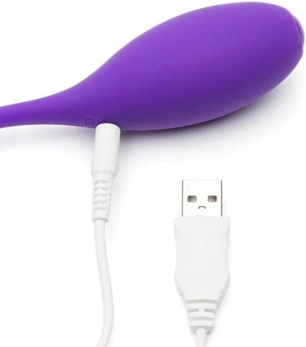 Remote Control Love Egg Vibrator OT22183 - Image 3